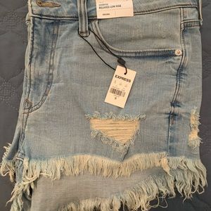 **BRAND NEW** Express Shorts!